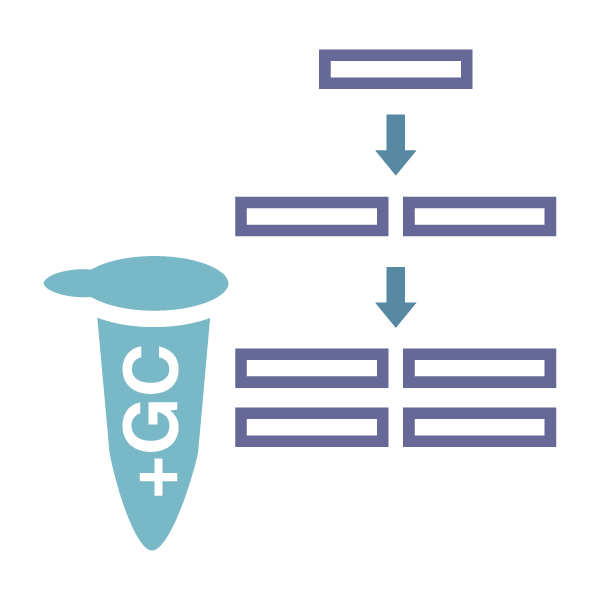 PCR