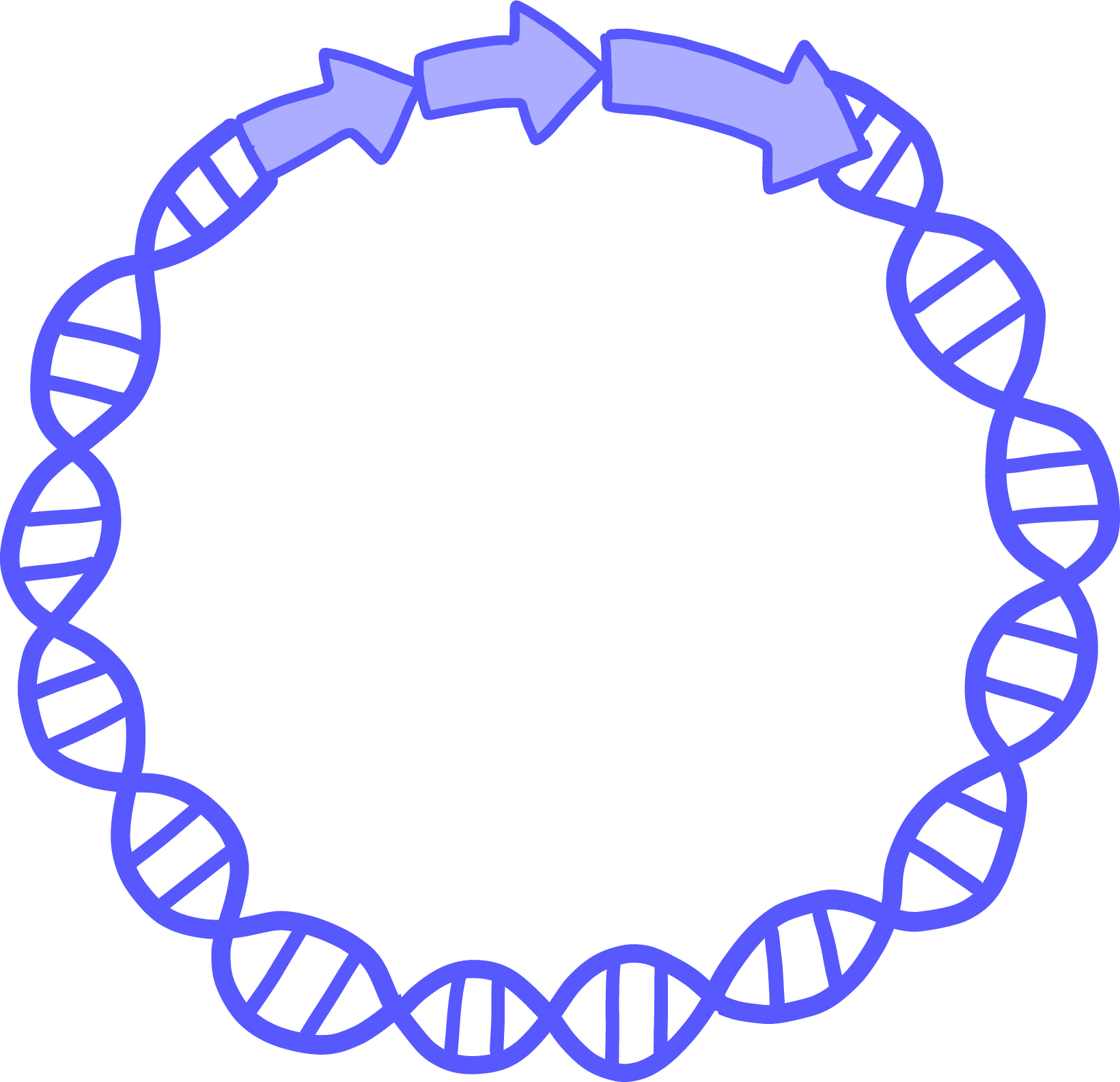 Plasmid Design